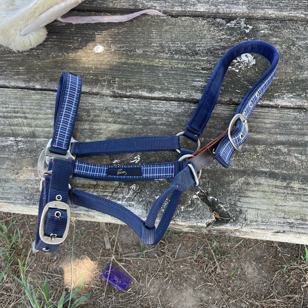 Pessoa Horse Halter